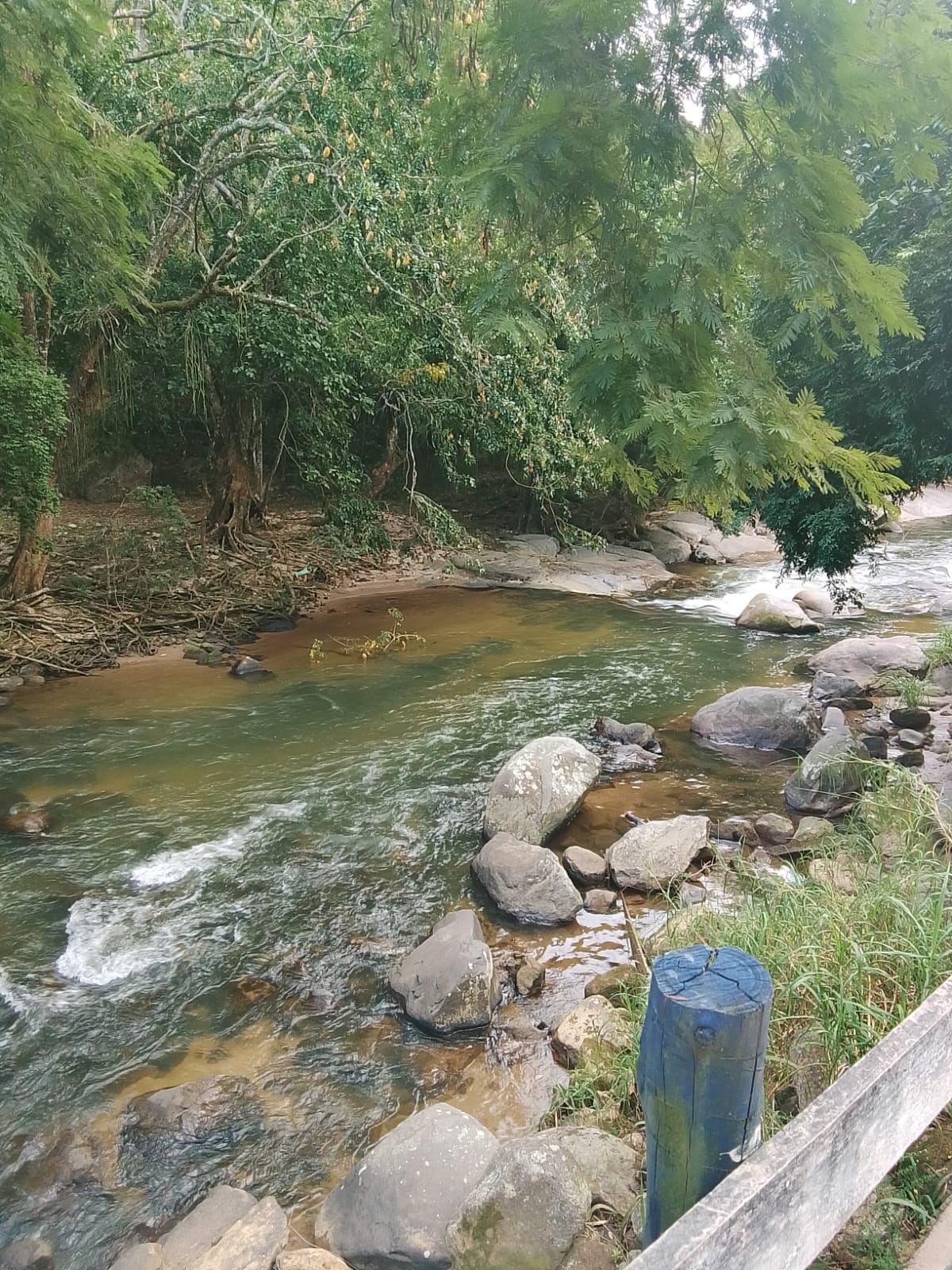 Rio São Pedro